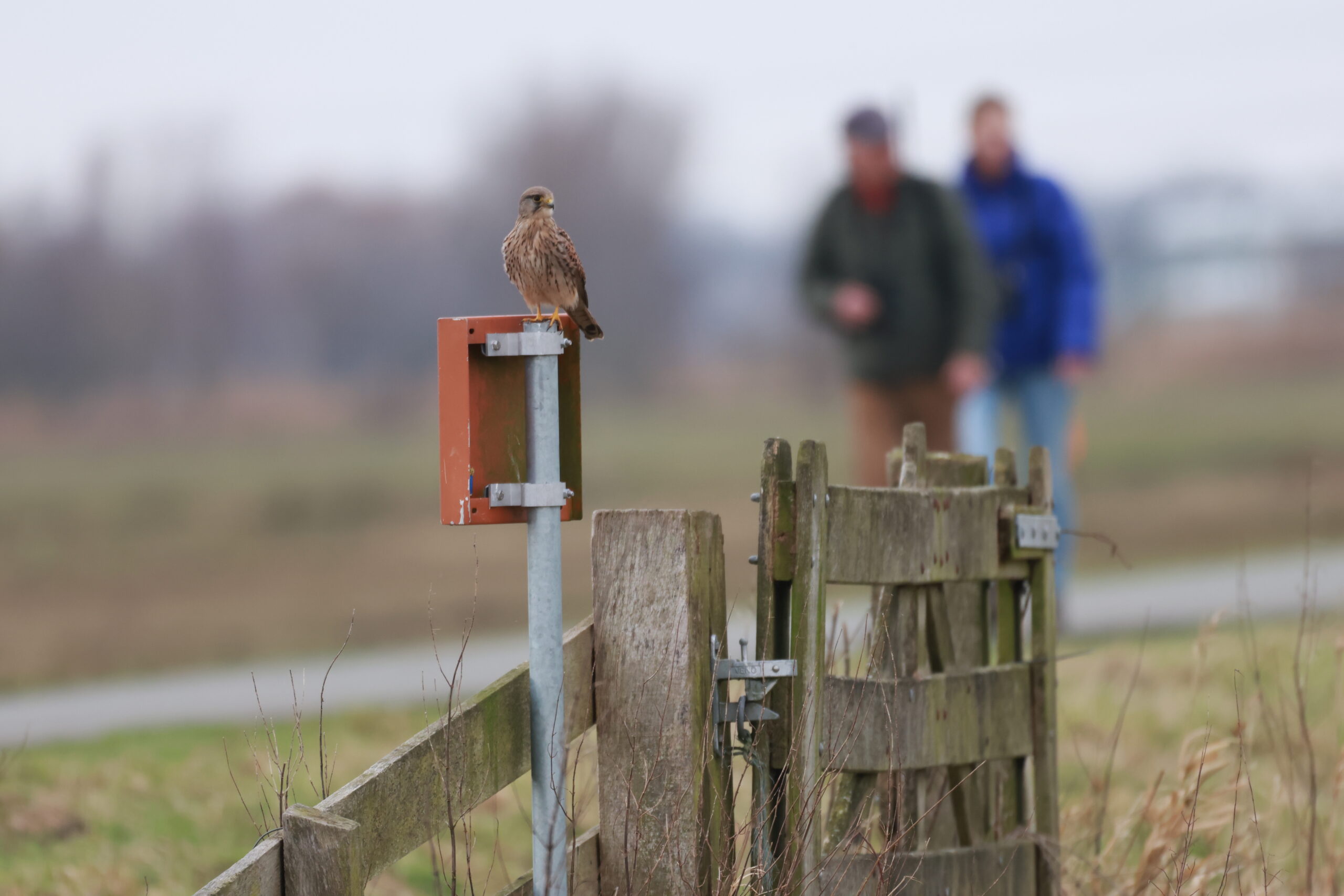 wandelaars met roofvogel op bordje